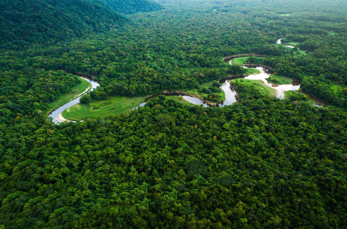 agenda-2030-da-onu-coloca-a-amazonia-em-destaque