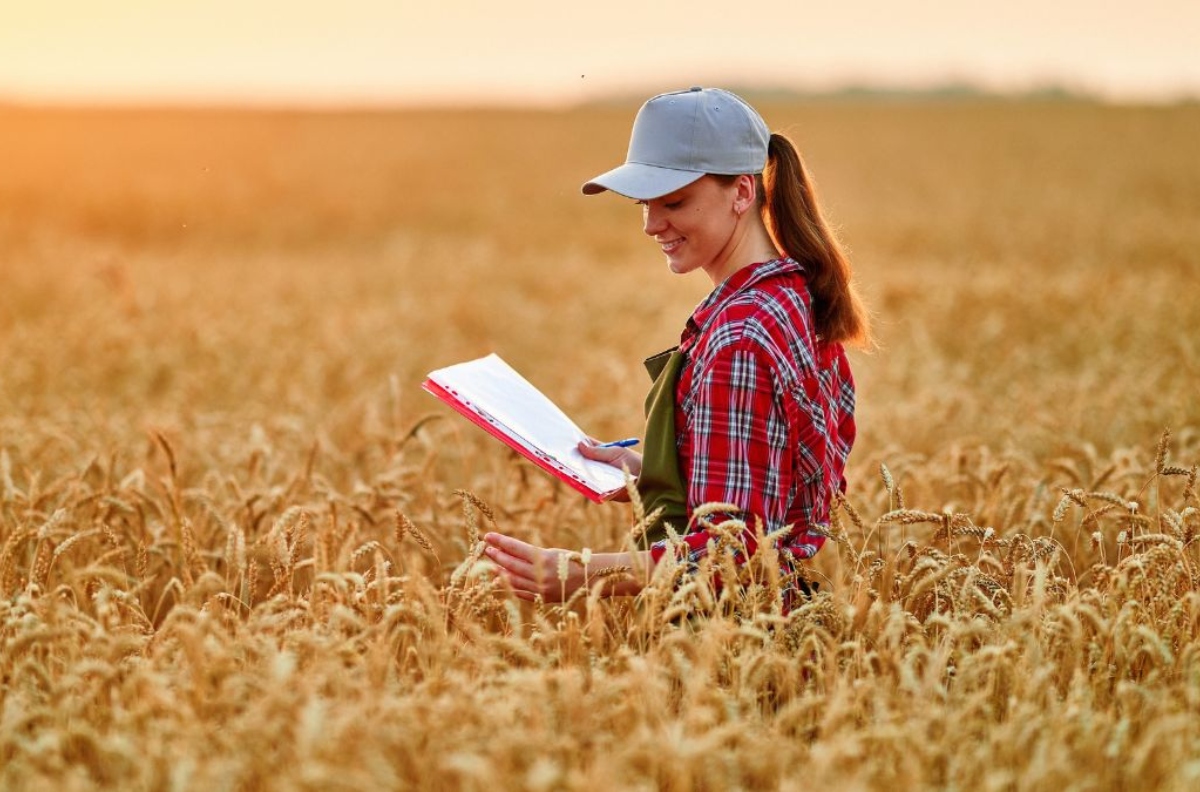 brasil-consolida-posicao-como-maior-potencia-em-exportacoes-agricolas