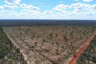 cerrado-em-risco-a-questao-da-agua-e-o-preco-do-desmatamento