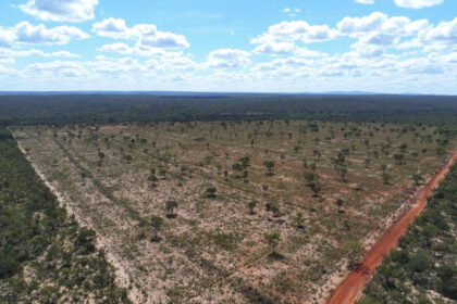 cerrado-em-risco-a-questao-da-agua-e-o-preco-do-desmatamento