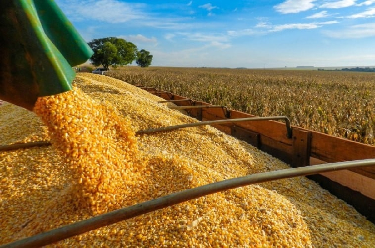 agricultura-supera-el-niño-e-estima-novos-picos-de-produção