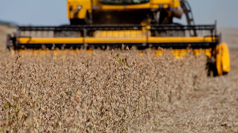 agrural-preve-safra-de-soja-23-24-menor-por-problema-climatico-em-mt-confira