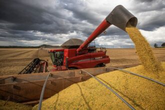 brasil-é-afetado-na-safra-de-soja-pelo-clima-mas-impacto-não-está-confirmado