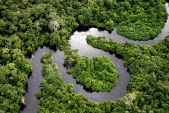 brasil-propoe-fundo-mundial-na-cop-para-preservacao-de-florestas-confira