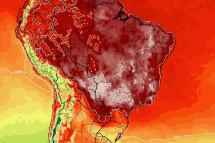 el-niño-causa-falta-de-chuvas-e-recorde-de-queimadas-no-pantanal-em-novembro