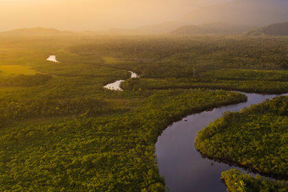 fundo-amazonia-318-mi-para-seguranca-e-defesa-contra-desmatamento-confira