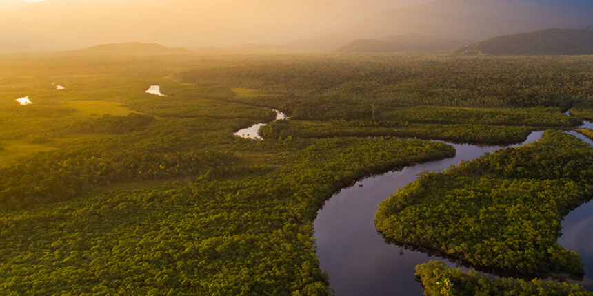 fundo-amazonia-318-mi-para-seguranca-e-defesa-contra-desmatamento-confira